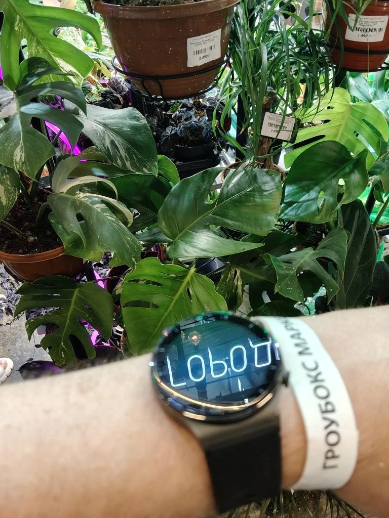 Полки с растениями на Growbox Market